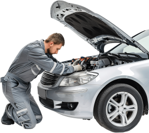 Logbook Service Agnes Water